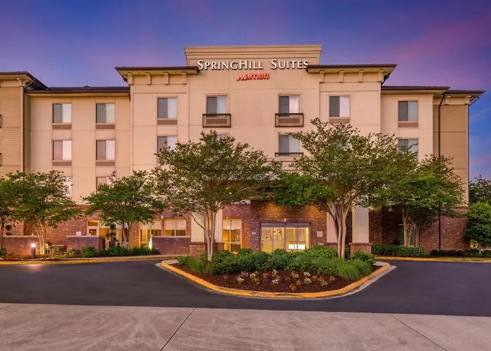 Hotel Springhill By Marriott South At River Ranch 3*