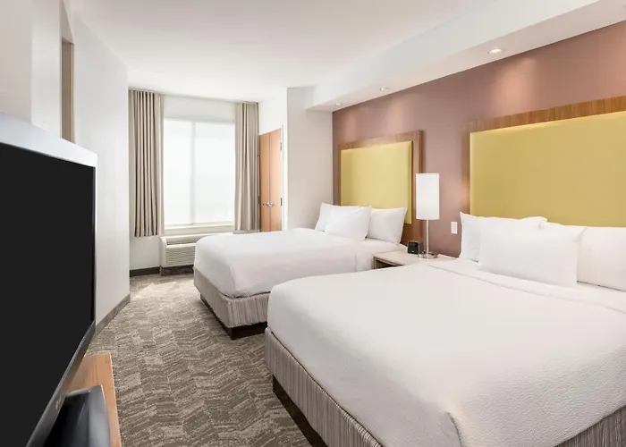 Hotel Springhill By Marriott South At River Ranch Lafayette