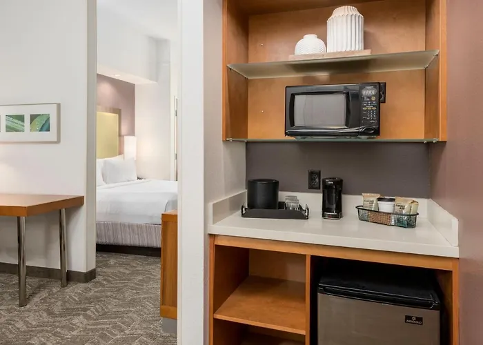 Hotel Springhill By Marriott South At River Ranch 3*