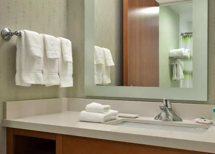 Springhill By Marriott South At River Ranch Hotel 3*